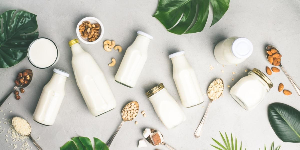 Dairy-free diet guide: Dairy-free, stress-free