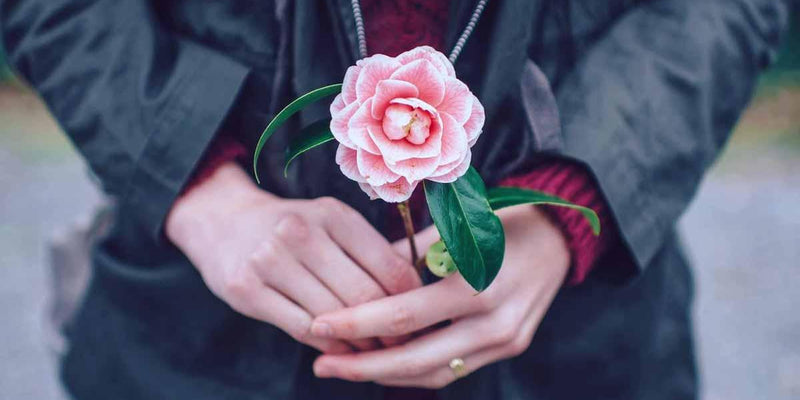 Mum of two Julia shares her inspirational journey with Purition